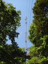 WWLP tower (II)