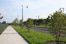 Corporation Way, Medford, now unrecognizable (18-55)
