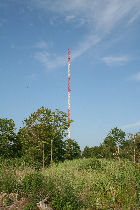 Old WILD tower (17-35)