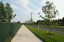 Corporation Way (17-35)