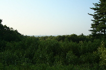 Boston skyline barely visible in haze (24-200)