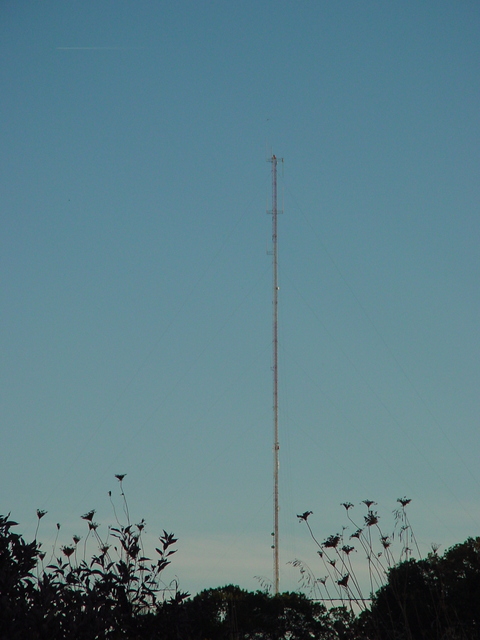 WMMM-FM tower