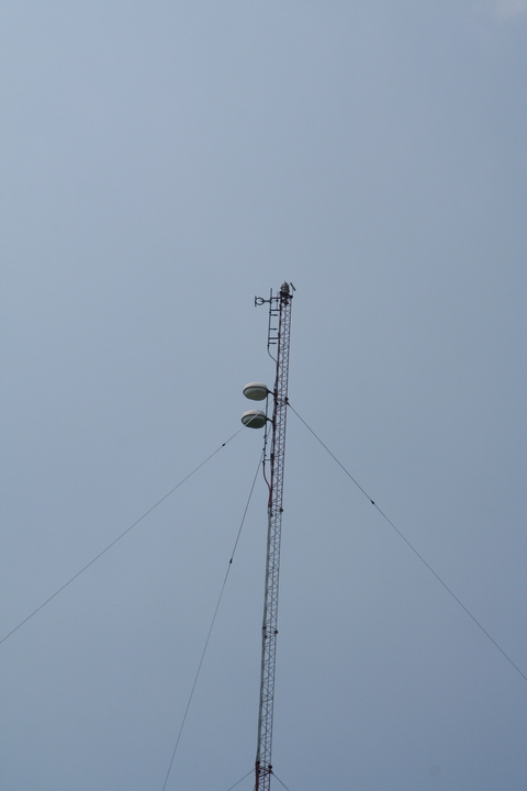WPVQ antennas