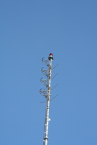 KKJZ antenna