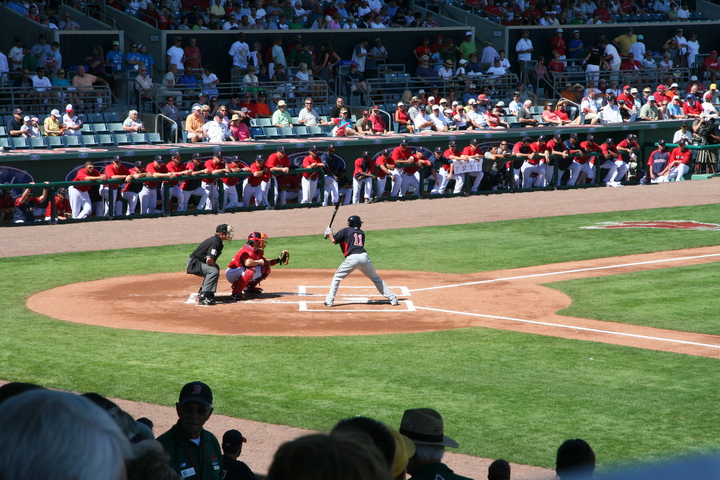 Unidentified Twin at bat